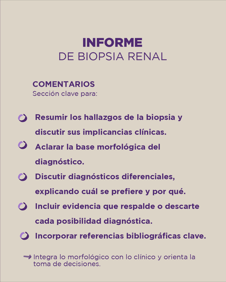 nephropath_gc's tweet photo. 📄 INFORME DE BIOPSIA RENAL | Serie 3 de 3
Además del diagnóstico, el informe debe incluir:
– Comentario clínico
– Resumen de datos clínicos
– Descripción macroscópica
– Hallazgos en MO, IF y ME
– Addendum con estudios adicionales
Basado en: Sethi et al. JASN 2015
#nehropatholgy https://t.co/O89xZuKOZf