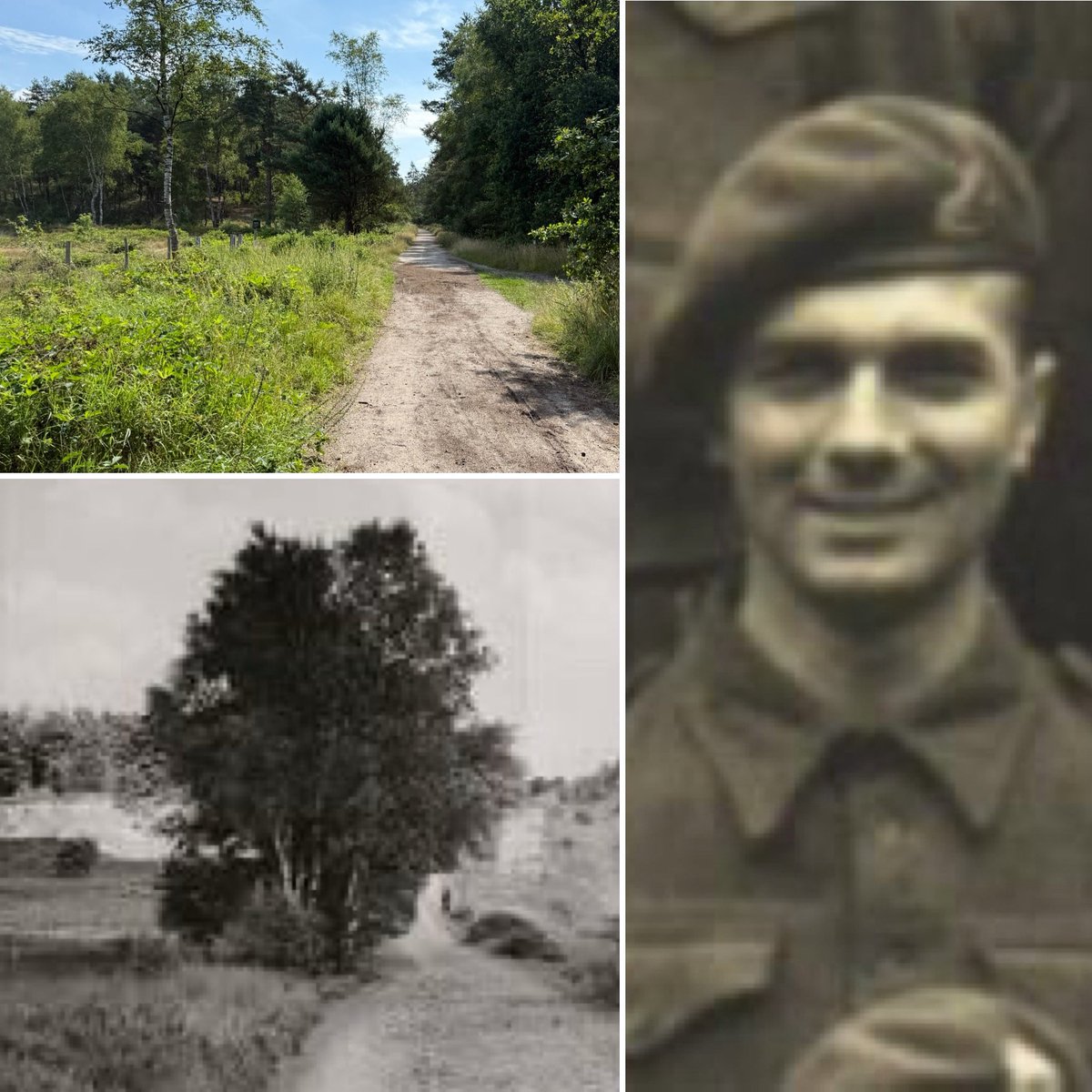 BattlefieldDisc's tweet image. The site where elements of 1st Airborne Recce Squadron were ambushed by Germans on 17 Sept 1944. Several were killed, others were taken prisoner. Due to a mistake in identity Arthur Barlow was initially reported as one of those killed and his wife subsequently received this…