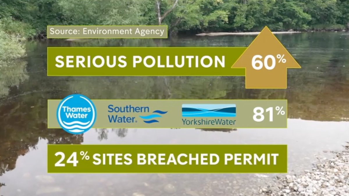Why aren't water company bosses and executives who have caused so much pollution been arrested, prosecuted and jailed?

This really is such a disgraceful scandal - our national infrastructure being exploited for profit