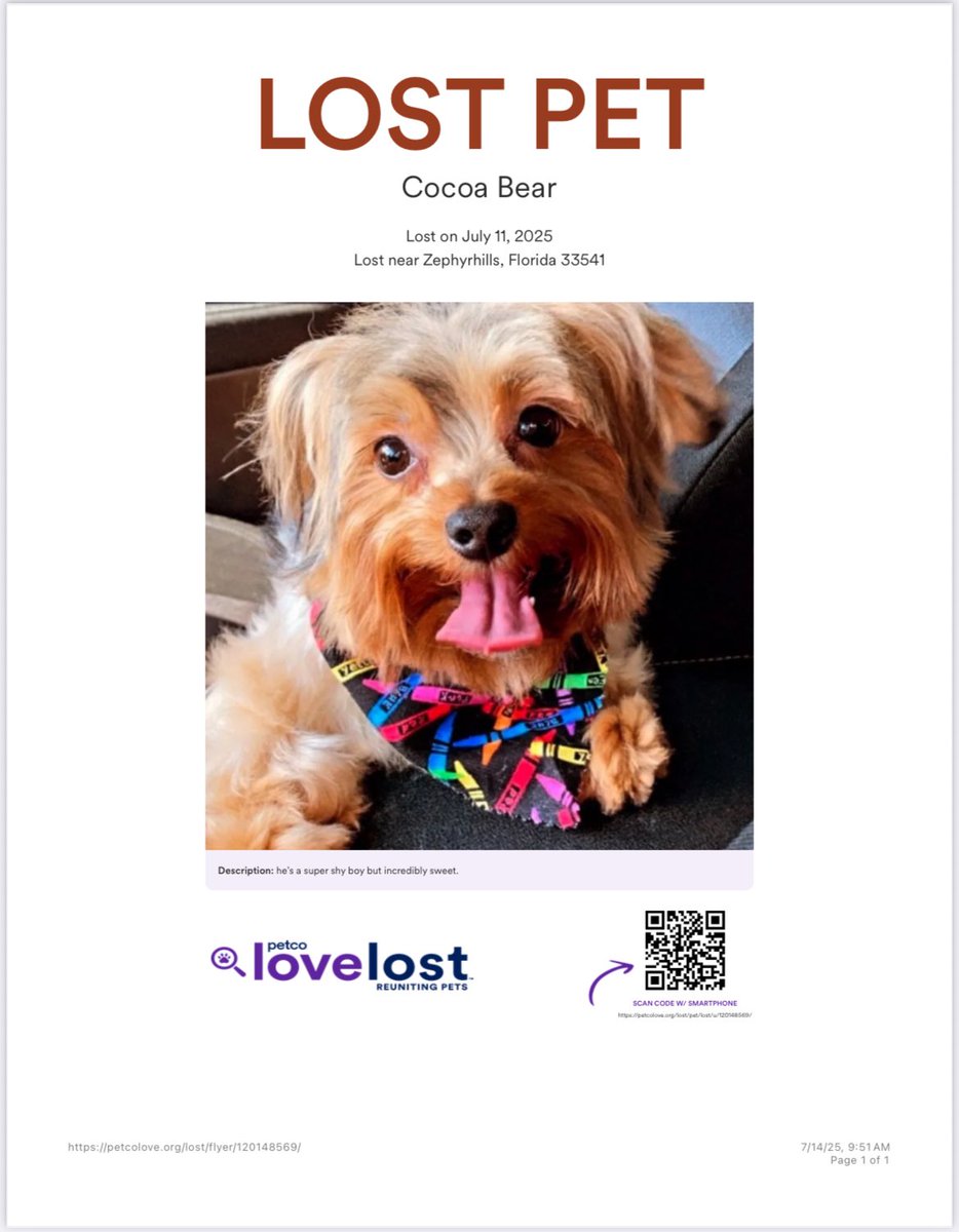 STARGUESTD0NNA's tweet image. please help me find my dog