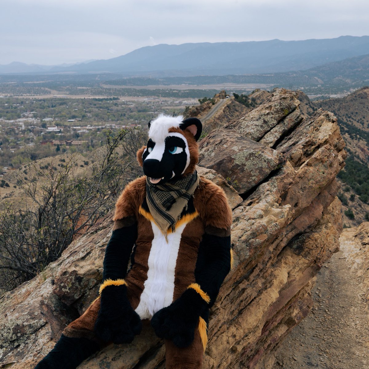 I’ll miss you Colorado, you’ve treated me well 🤍🤎

📸: <a href="/RyeTheYote/">Rye🔜Denfur</a> 
🧵: <a href="/RumWolf/">Rum Wolf</a> 
#FursuitFriday