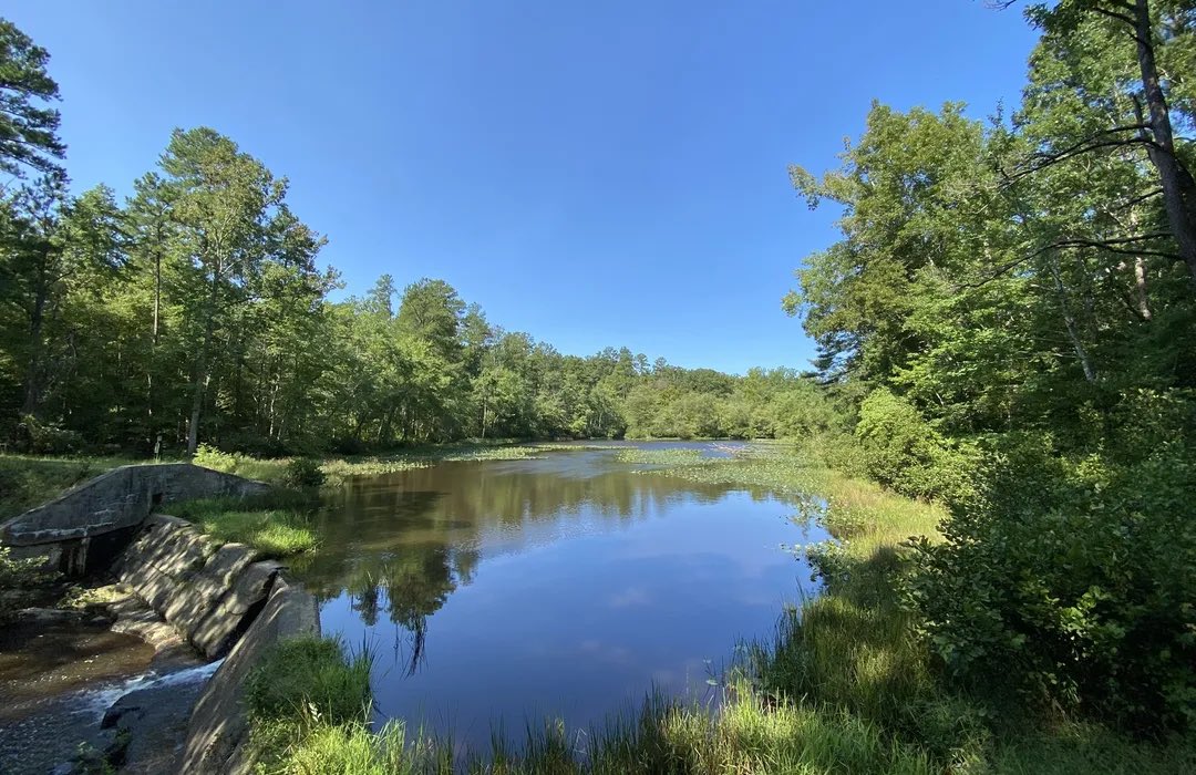 RepMcClellan's tweet image. To commemorate Parks and Recreation Month and how we #BuildTogetherPlayTogether, today I highlight Pocahontas State Park in Chesterfield County, the largest state park in Virginia.
Established in 1946 with the help of the Civilian Conservation Corps, it hosts a museum dedicated…