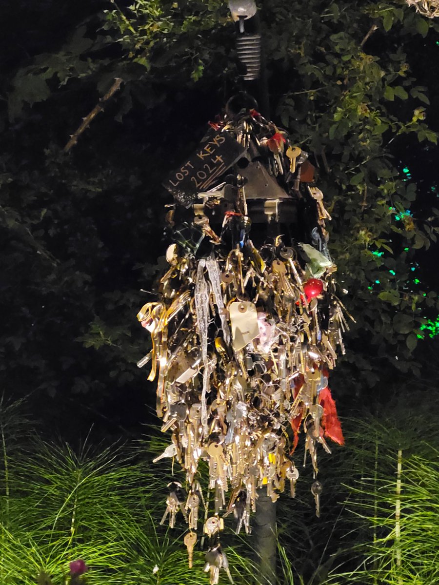 Anyone who lost a key 🔑 in 2024 should have gone to look through this bunch in Woodsies.