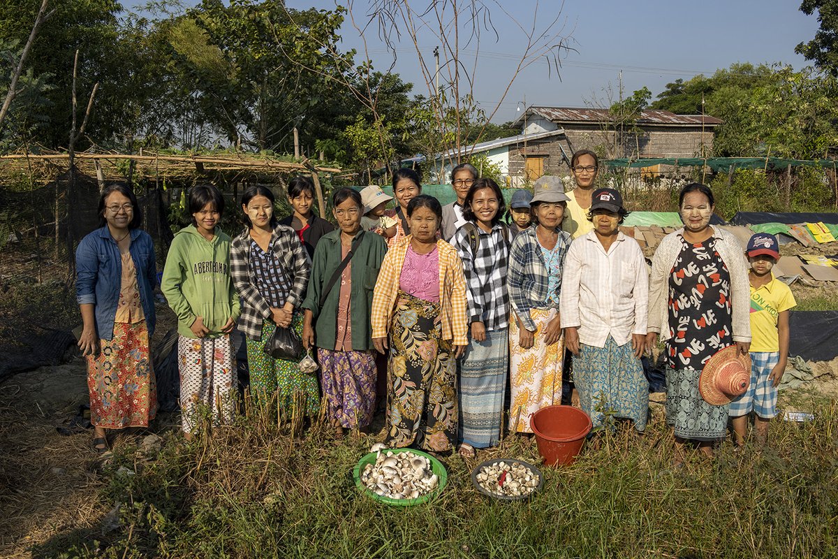 Kanni Wignaraja (@kanniwignaraja) on Twitter photo Did you know that urban poverty in Yangon has quadrupled in six years? In the face of this crisis, women are taking action and growing solutions, quite literally! Our <a href="/UNDP_Myanmar/">UNDP Myanmar</a> Urban Resilience program demonstrates how women-run urban farms that are expanding mushroom Did you know that urban poverty in Yangon has quadrupled in six years? In the face of this crisis, women are taking action and growing solutions, quite literally! Our <a href="/UNDP_Myanmar/">UNDP Myanmar</a> Urban Resilience program demonstrates how women-run urban farms that are expanding mushroom