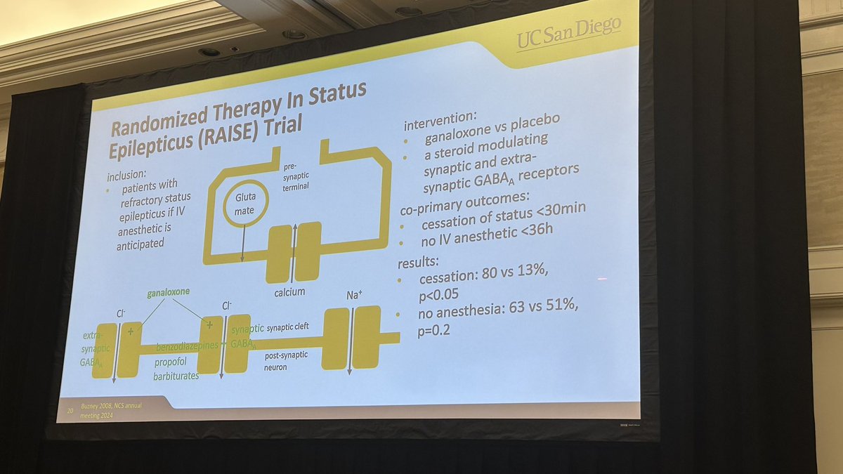 indigodoc's tweet image. Why is My Patient Not Waking Up? Detecting and Treating Perioperative Seizures secured.societyhq.com/csa/2025summer… #CSASummerConf2025