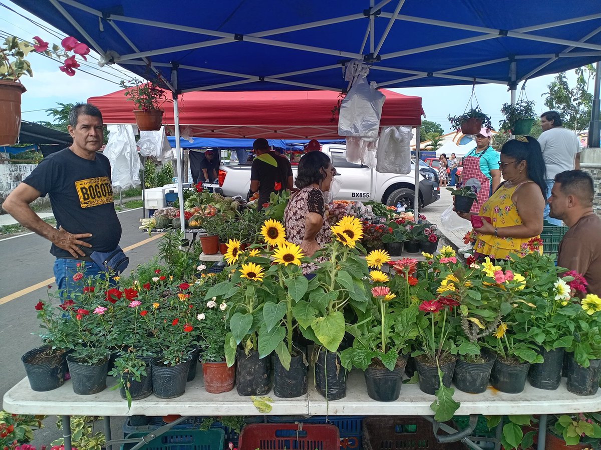 IMA_Pma's tweet image. En una feria Interinstitucional realizada en el Parque Central de Boquerón, el IMA Chiriquí participó con una agroferia, la cual benefició a 1,875 personas.
Se ofertaron, un total de 37,500 libras de arroz de primera calidad.
#ConPasoFirme