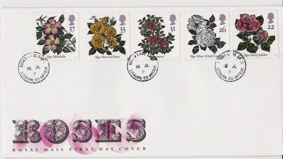 SorchaEastwood's tweet image. I do find some very strange things 😄
So this is a run of stamps released by Royal Mail in 1991 to mark the 9th World Congress of Roses that took place in Belfast in July that year!
Nearly to the day, these stamps were released on the 16th July and someone at Roses Lane Ends…