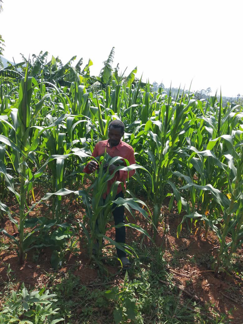 irakizaa's tweet photo. @GeneralNeva Ivyo muvuze nivyiza!! Jewe naratanguje Cooperative I Gitega. Twese tugiye hamwe vyifasha igihugu cacu muguterimbere. https://t.co/KKslwQhWHw