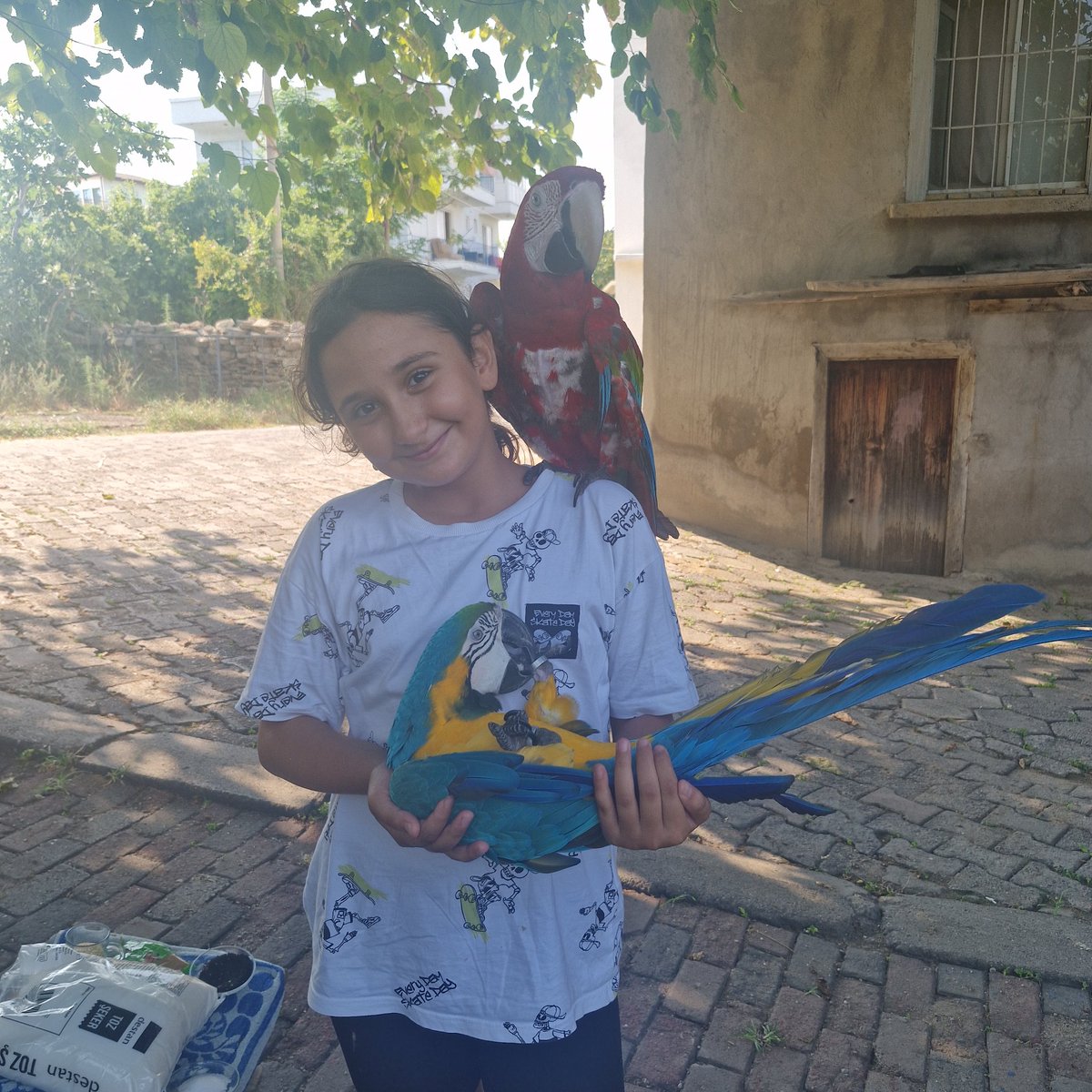 Livao_07 Sena 🌞 (@07livao) on Twitter photo 