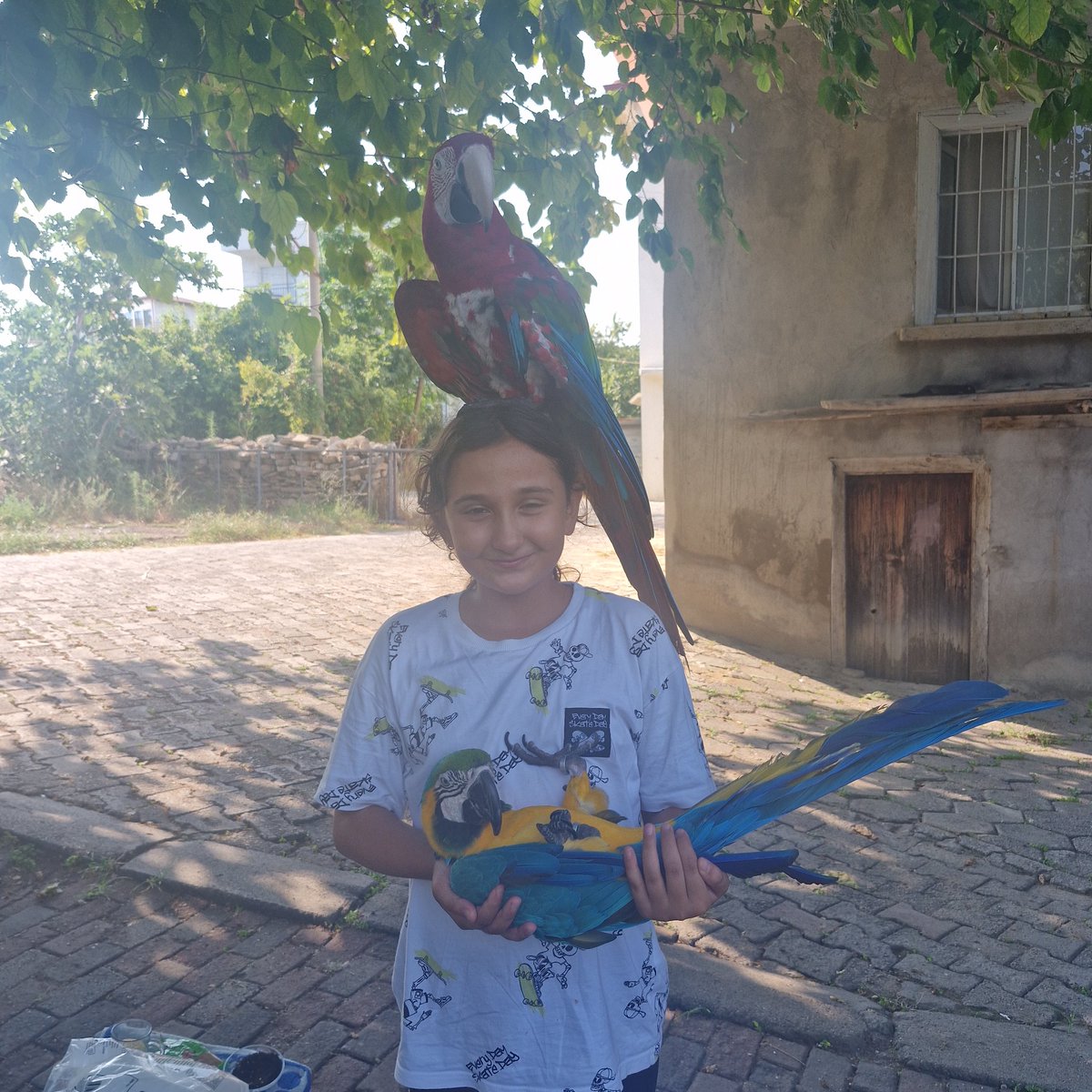 Livao_07 Sena 🌞 (@07livao) on Twitter photo 