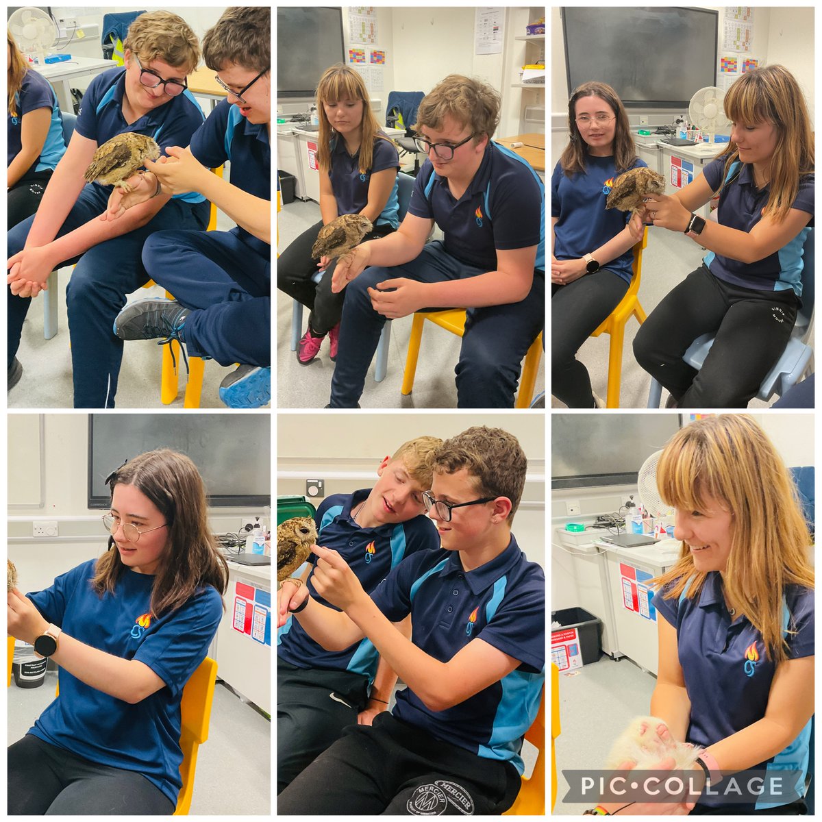Year 10 enjoying their animal encounter as part of our summer learning week ☀️🐾