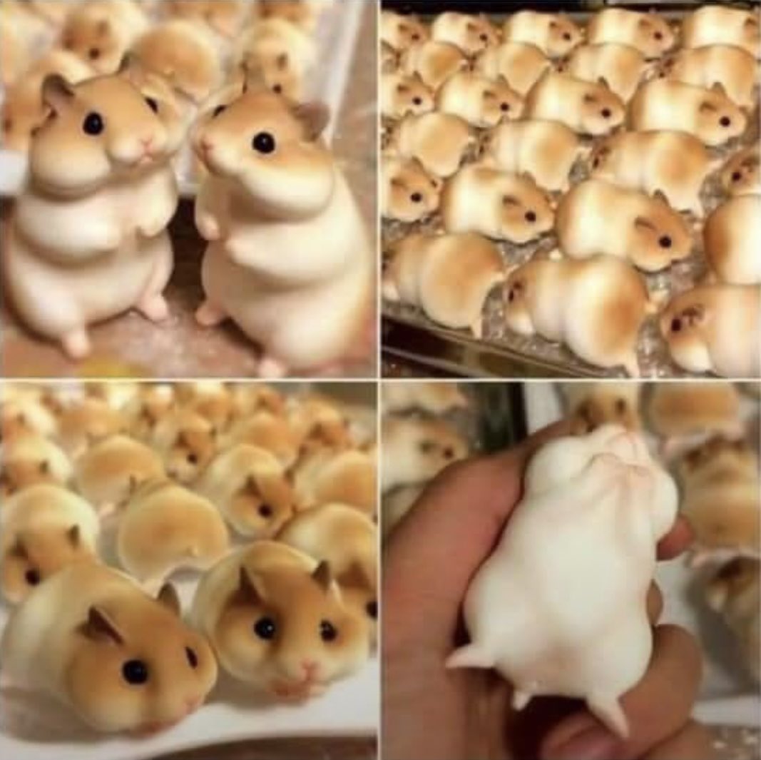 LloydLegalist's tweet image. Have you seen these Japanese hamster breads? They’re made to match the size and look of actual hamsters.
I’d love to load up my pockets with a few of them, walk into PetSmart and just start munching on one in front of everyone.