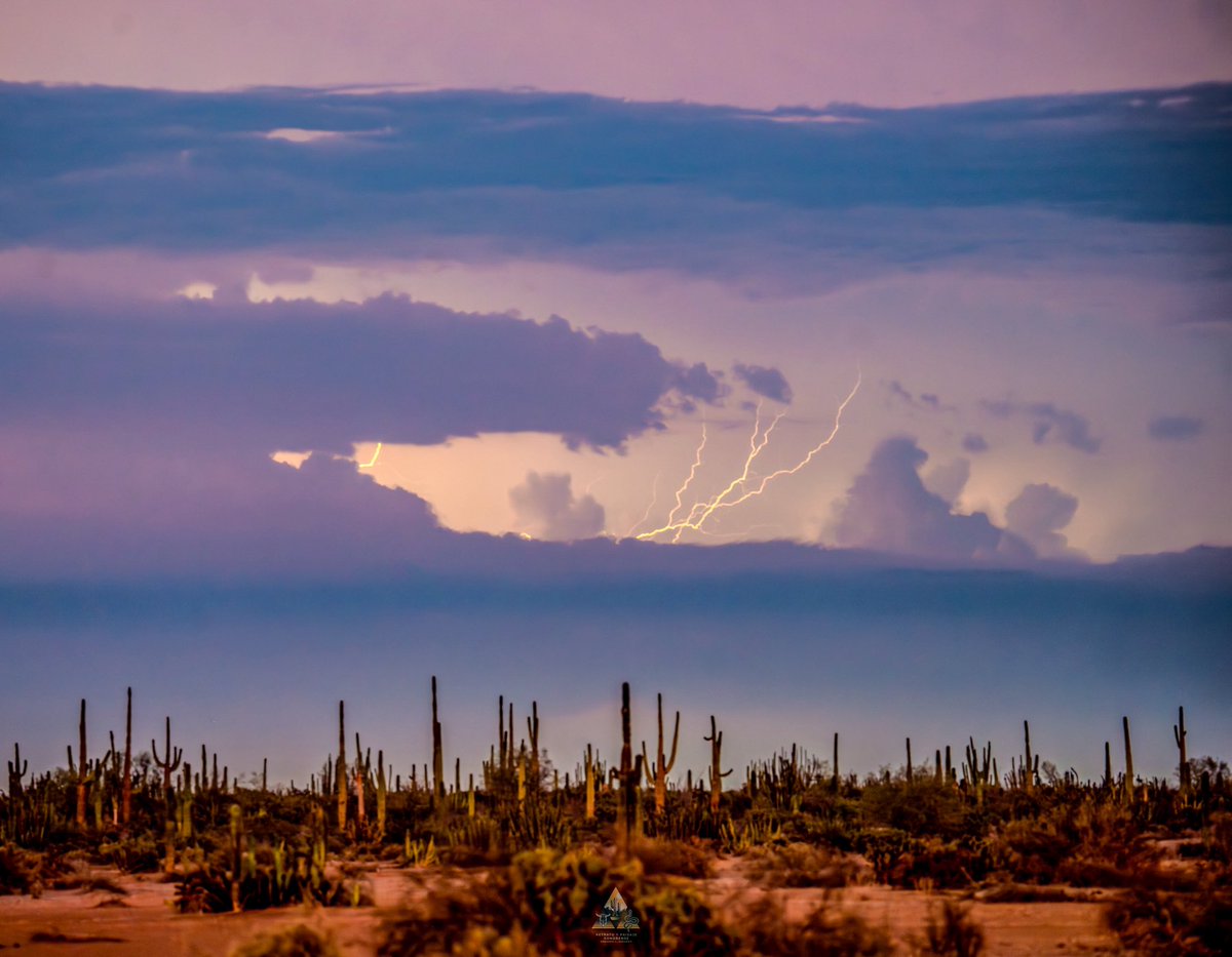 GGerardox2's tweet image. Chulada de Desierto que tenemos, SONORA❤️