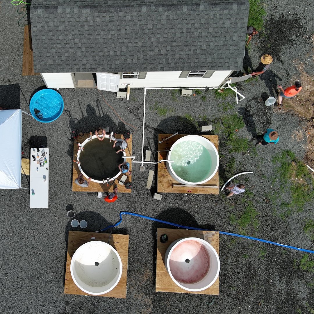 A whole new angle on widgeon grass processing! (Thanks to Kenny Smith of <a href="/DelawareDNREC/">Delaware DNREC</a> for the drone shots.)