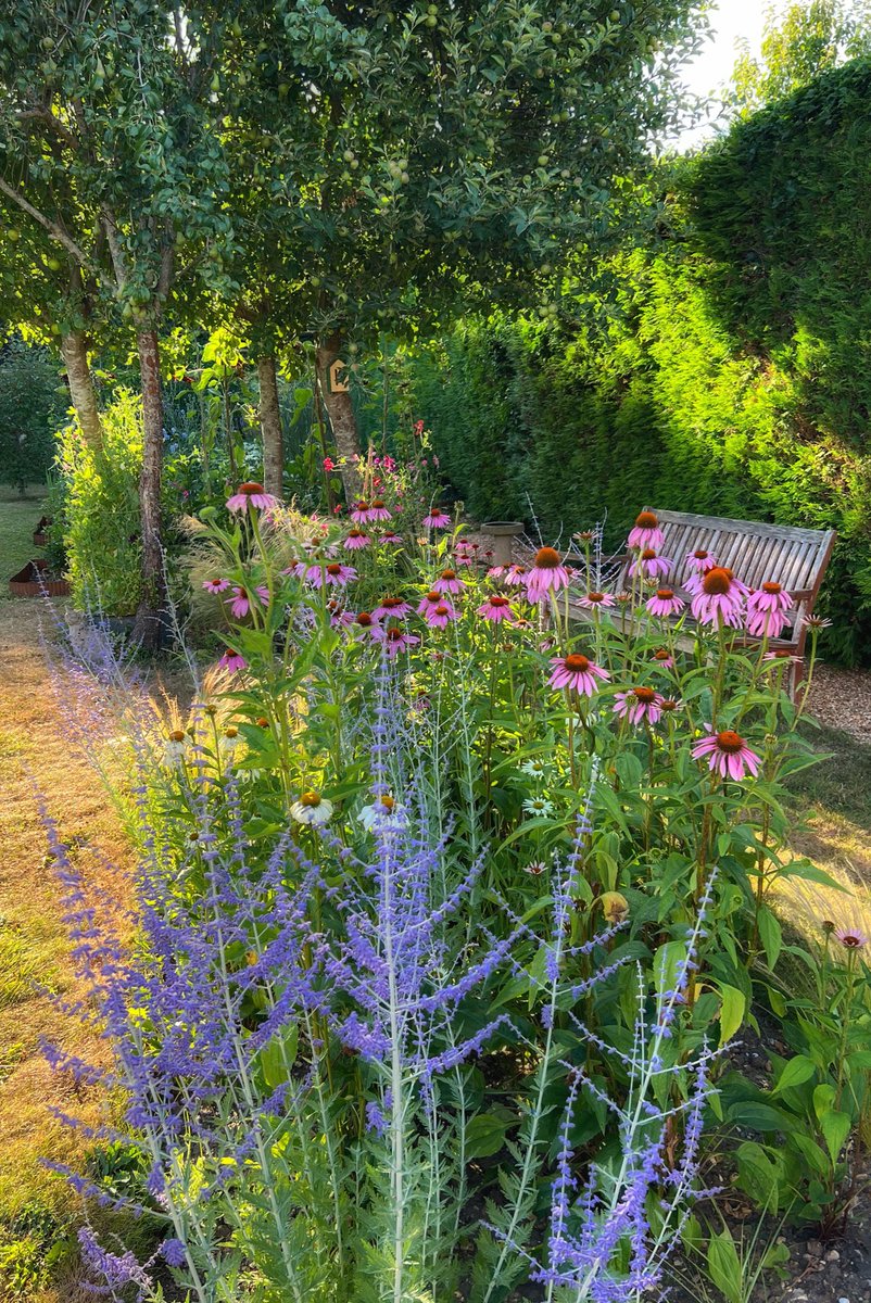 KateSLWood's tweet image. Back home in Hampshire and despite no rain the garden’s looking great ✨