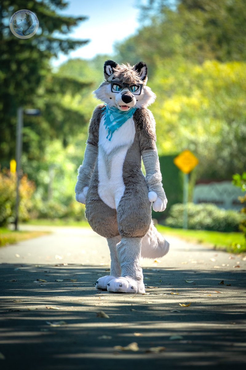 CoastalKangaroo's tweet image. I know I should be posting photos of my own suit, but the issue is I have so few photos! I mostly have photos of other people, so here's one from a set I did of a local buddy that I am pretty proud of ^^
Leica SL2-S
Leica APO-Vario-Elmarit-SL 90-280mm f/2,8-4
278mm
f/4
