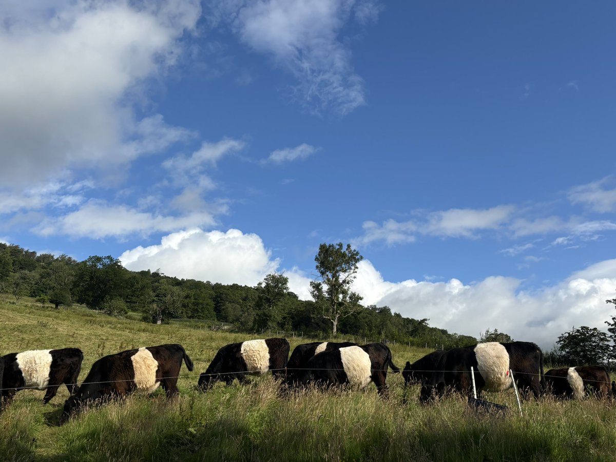 James Rebanks tweet media