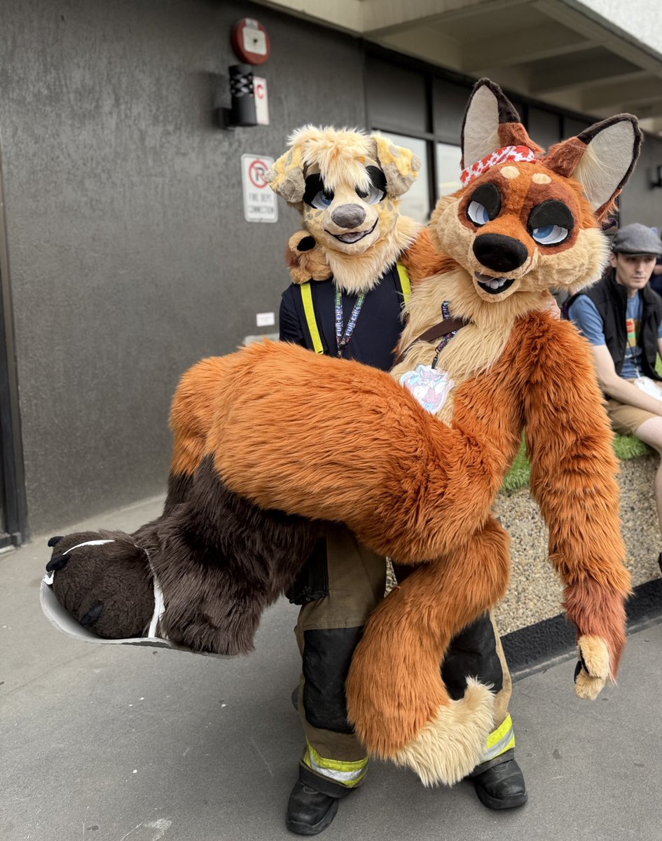 JackTheRedFox tweet media