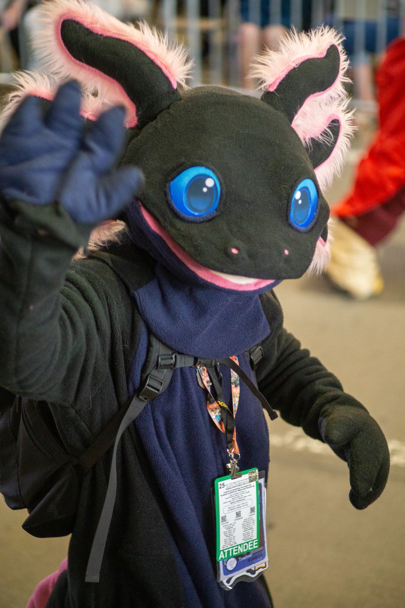 AxolotlBubbles's tweet image. Hi hello hey
#FursuitFriday
๐ธ: @aqueerwolf