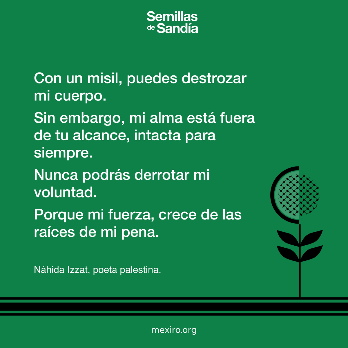 yoMexiro's tweet image. 🌱 #SemillasDeSandía | Aunque destruyan cuerpos, no podrán tocar el alma ni arrancar la voluntad.

Las palabras de Náhida Izzat nos recuerdan que en Palestina, la resistencia florece desde el dolor.

🍉 #PalestinaLibre