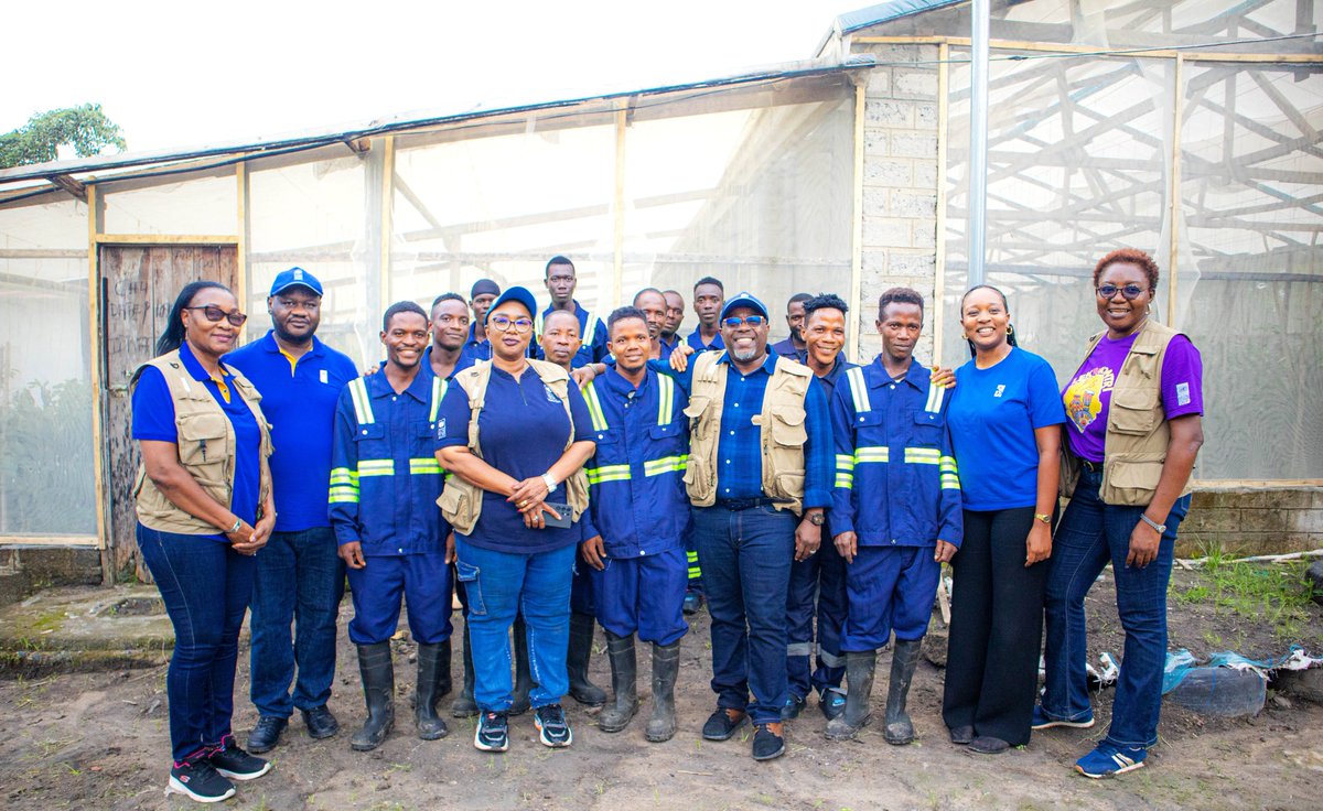 UNDPSierraLeone's tweet image. If you have bought fresh veggies in a Freetown supermarket, they may have come from Adam’s Garden.
This agribusiness uses greenhouse tech to grow 20+ crops.
With support from @UNDPSierraLeone , they’ve expanded from 23 to 27 greenhouses, making year-round supply a reality.