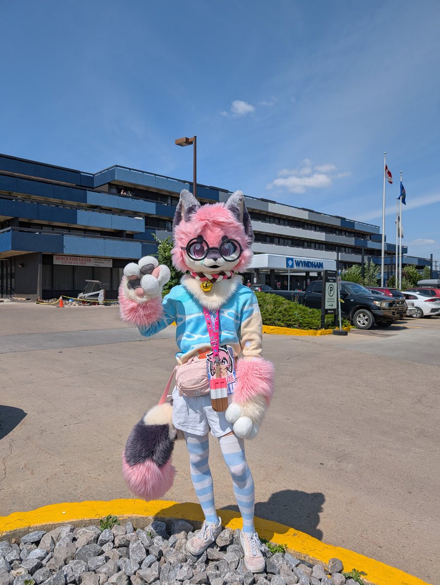quillie__'s tweet image. happy fursuit friday from Fur-Eh! :3

#FursuitFriday