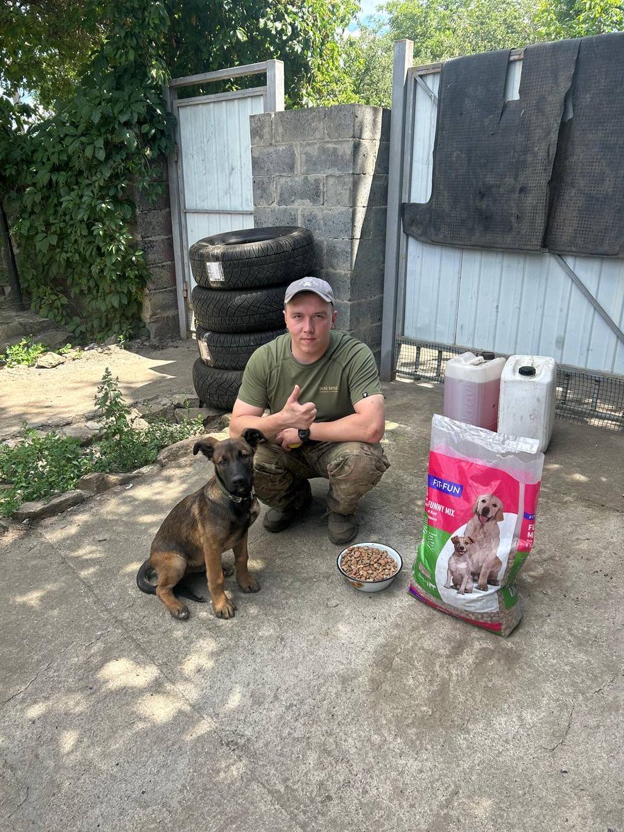 MinisterBoomer's tweet image. The Frontline dogs are not forgotten.