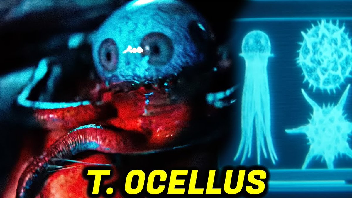CMoonlightFilms's tweet image. Made a post around some things I learned from the brilliant @MrHreviews latest video on #AlienEarth. What do you think? Do I need to change it?
christophermoonlight.substack.com/p/it-sucks-whe…