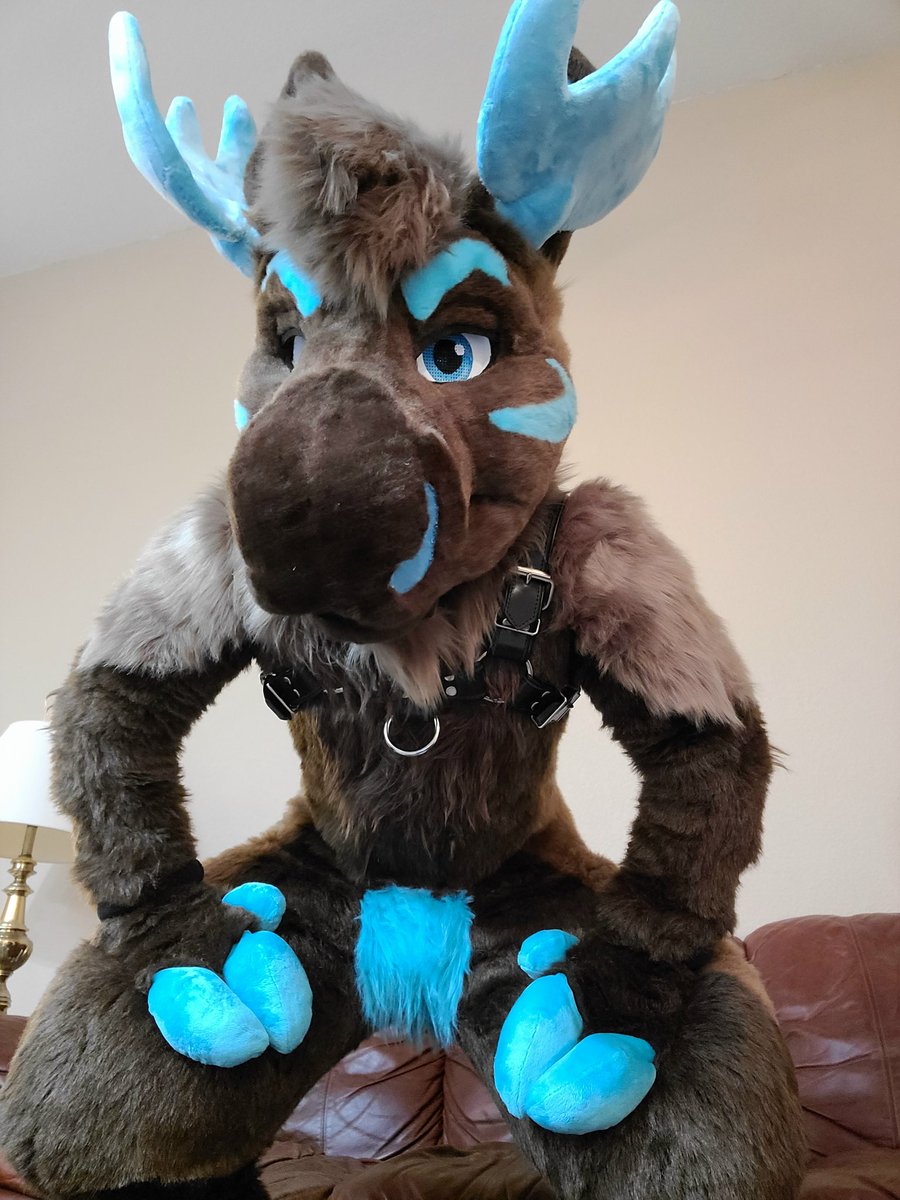 BenzoHusky's tweet image. You have snacks?! I want some please 👀 thanks! @TwinkyArts  ~