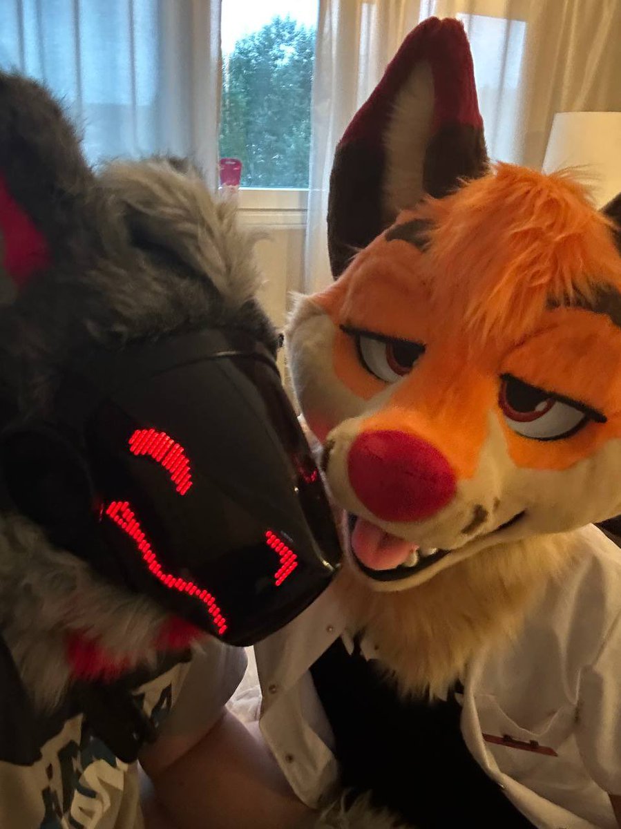 X-ray-The-Proot NFC🐾 (@proot_exe404) on Twitter photo Had an amazing day in Copenhagen and meet this adorable fella <a href="/Dex_Sanguinis/">Dex The Dentist</a>
Thanxs for the wonderful evening
You foxes are so sweet Had an amazing day in Copenhagen and meet this adorable fella <a href="/Dex_Sanguinis/">Dex The Dentist</a>
Thanxs for the wonderful evening
You foxes are so sweet