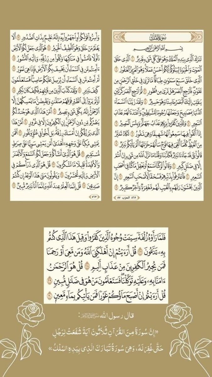 ﮼أنا﮼دائمًا🌴 tweet media