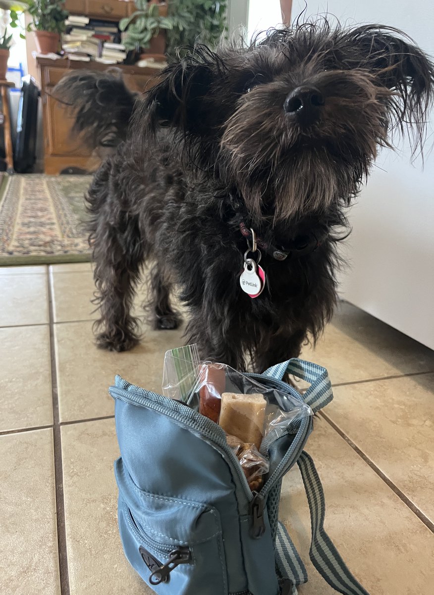 soiled_plants2's tweet image. he’s so excited for his first camping trip he even packed his own bag