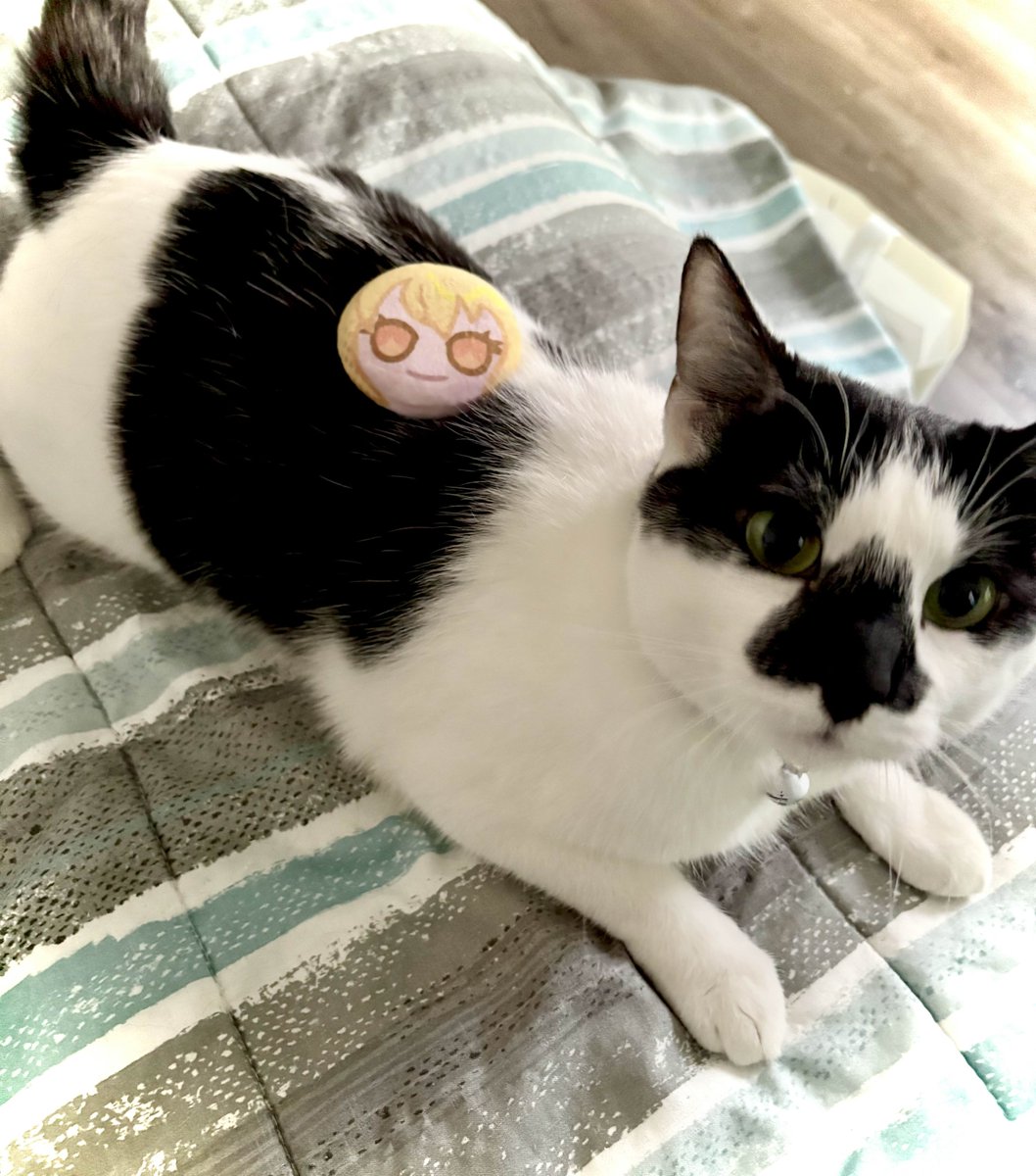 SquidBytes tweet media