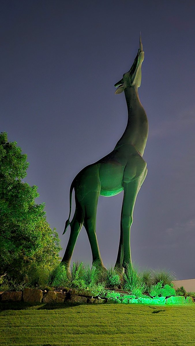 DallasZoo's tweet image. In honor of the lives lost and the families forever changed by the devastating floods in Kerrville, Texas, we will be lighting our giraffe statue green for the remainder of July. Our hearts are with all those across Texas who are grieving in the wake of this tragedy.