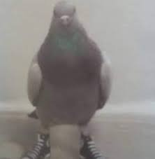 N0rmal_1nk's tweet image. Me hice un canal de wasap para subir cosas o contarles chisme
whatsapp.com/channel/0029Vb…