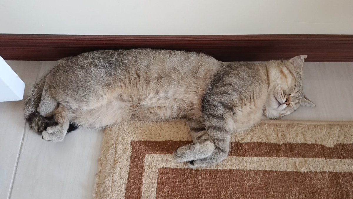 aksarayda kaybolmuş yayabilir misiniz