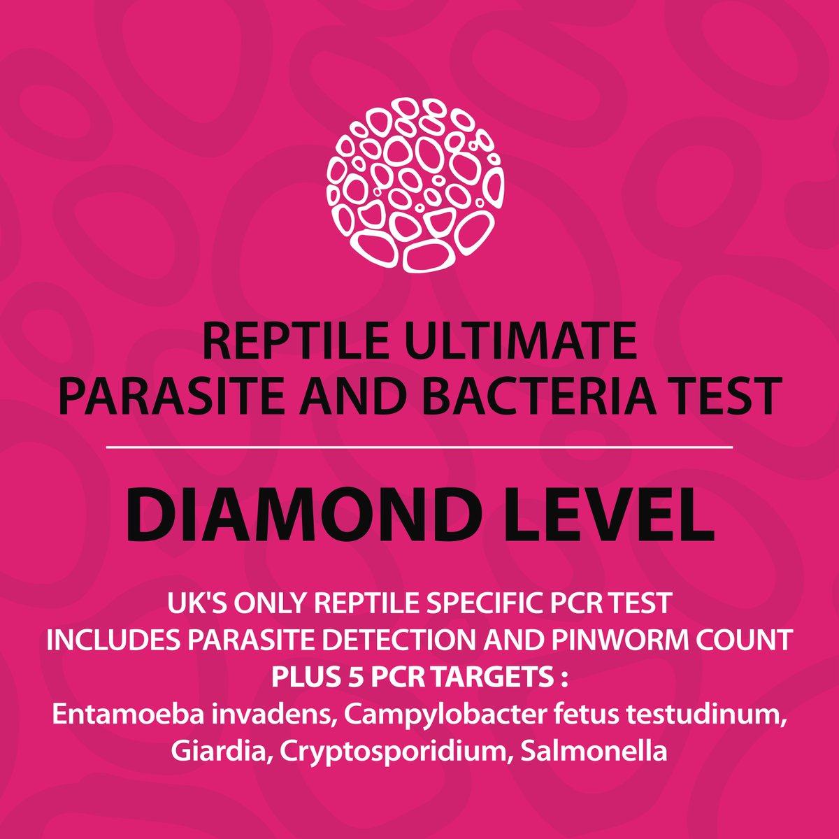 UK’s ONLY Reptile-Specific Profile with Real-Time PCR panel.
Includes return postage.
- Tests all parasite groups
- Plus reptile-specific qPCR Panel:
Salmonella
Campylobacter fetus testudinum 
Entamoeba invadens
Giardia
Cryptosporidium
📲 Order online now: loom.ly/KYXKm2E