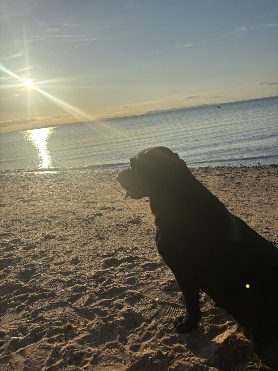 When things go bad the secret is not to go bad with it …..