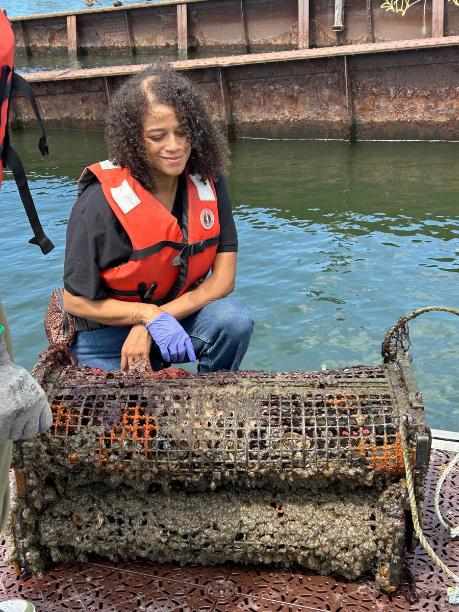 BPHACaucus's tweet image. Caucus Chair @SolagesNY came together with @Timbuctoo1846, @BillionOyster, & SUNY Chancellor @JohnBKing today to gather oysters. This program aims to restore New York Harbour's oyster reefs while educating community members on the importance of these special habitats.