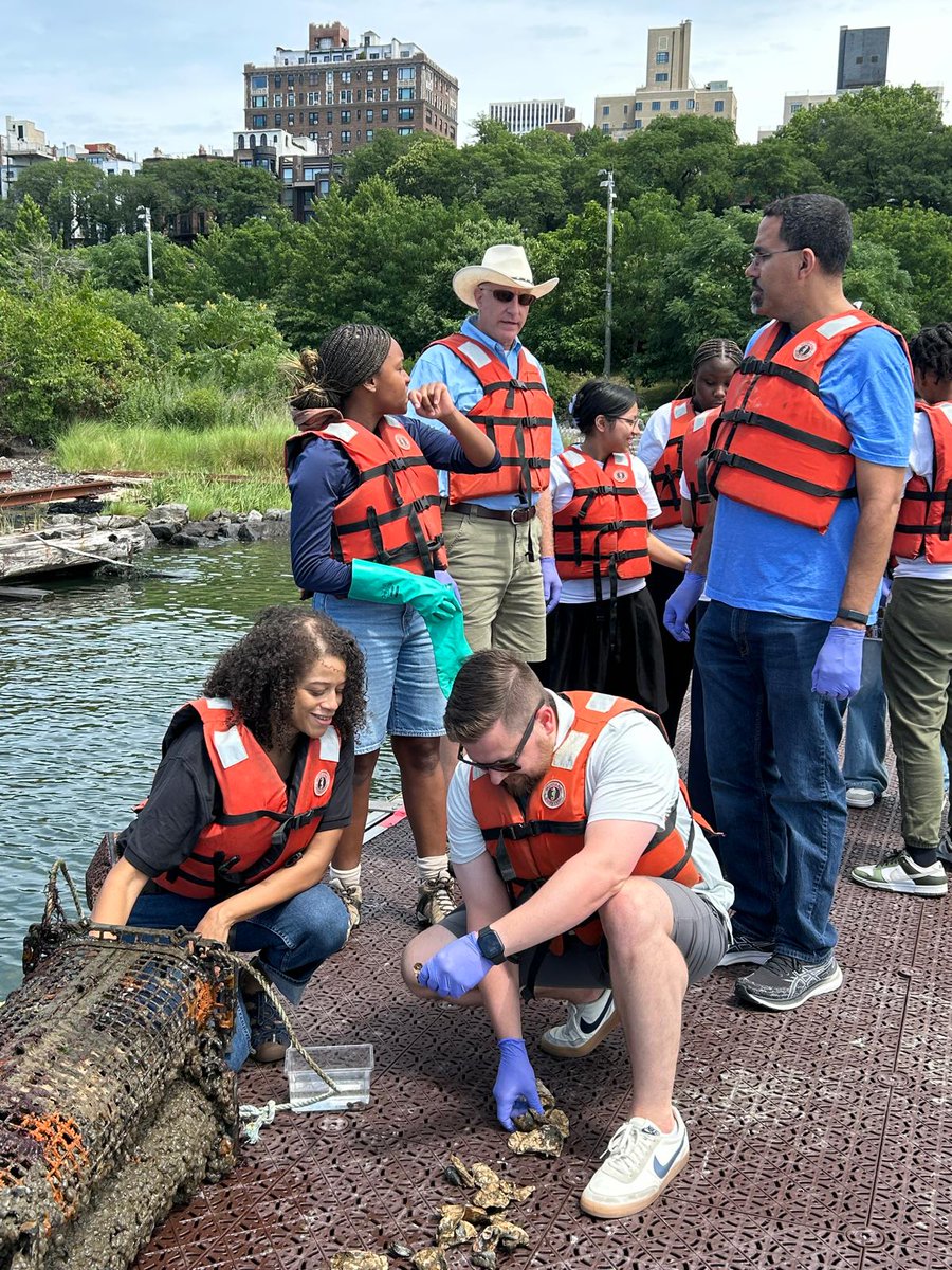 BPHACaucus's tweet image. Caucus Chair @SolagesNY came together with @Timbuctoo1846, @BillionOyster, & SUNY Chancellor @JohnBKing today to gather oysters. This program aims to restore New York Harbour's oyster reefs while educating community members on the importance of these special habitats.