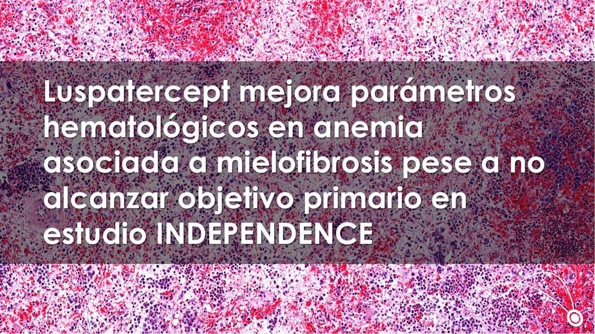 #ScienceLink #INDEPENDENCE #Luspatercept

 buff.ly/NBXxuZq