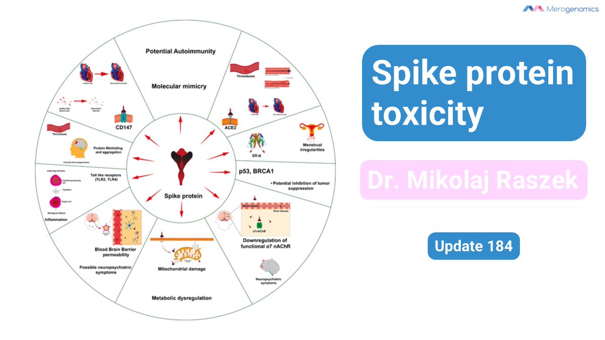New video: Spike protein body‑wide harm &amp; mitochondrial damage (Update #184) 🧠💥
 We cover 10 suspected harm pathways, mitochondria → inflammation → disease, based on recent detox literature and Nature’s review
Unlocked post-Patreon—stream now 👇
 youtu.be/DBibc0x_au4