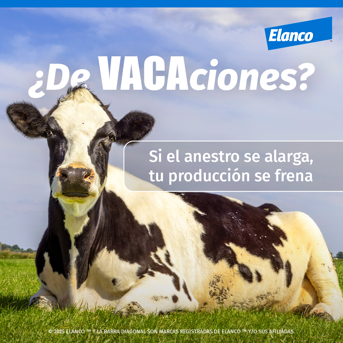 ElancoAgroMX's tweet photo. 🤠 Amigo ganadero, dale un empujoncito al ciclo reproductivo de tu ganado con Elanco™. Conoce más con tu Representante  y aumenta tus rendimientos con el programa de Preña  🐄🚀 https://t.co/mIWqH4r3wv