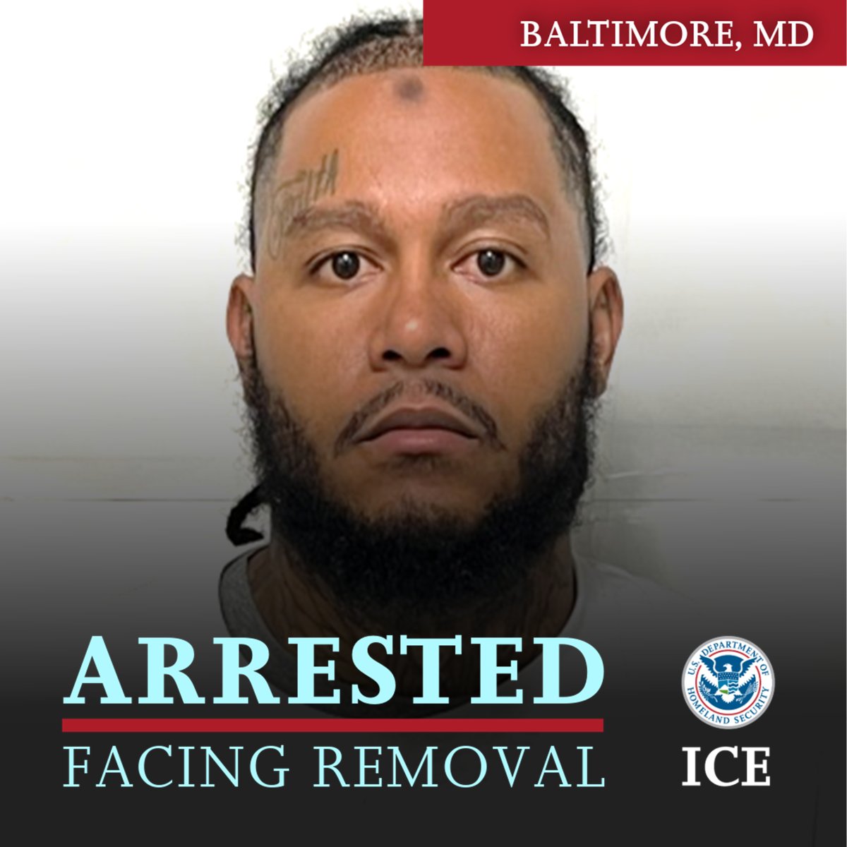 EROBaltimore's tweet image. ICE @EROBaltimore arrested 32-year-old Jamaican national Marc Fitzgerald Jackson. He has been convicted of second-degree assault and violating an order of protection. Jackson was issued a notice to appear and will remain in ICE custody.
