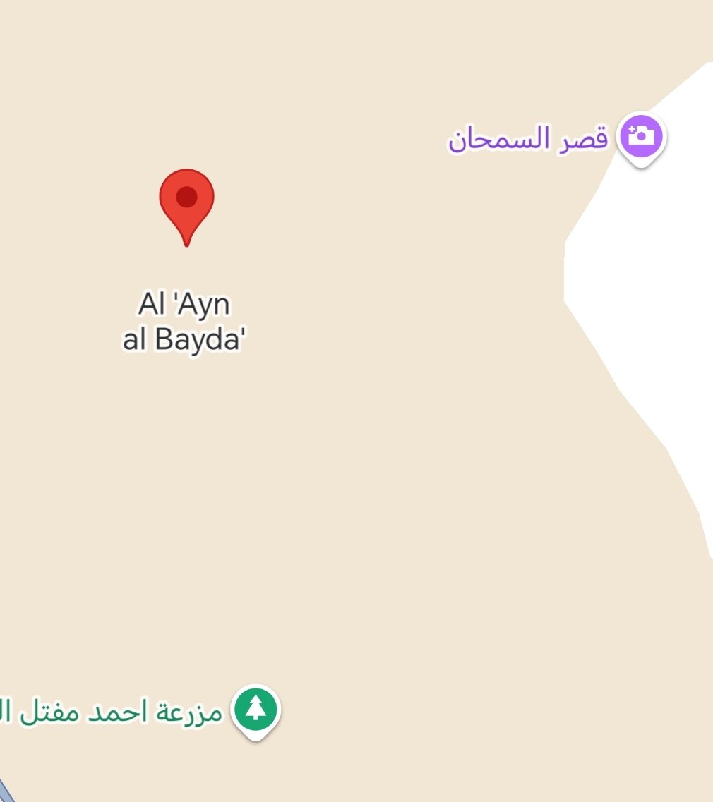 الأخير زمانه tweet media