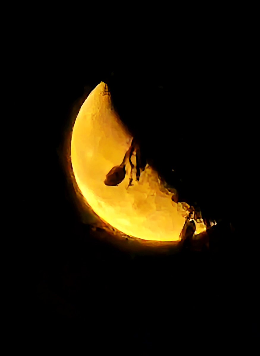 WajahatIqbal2's tweet image. Light and Shadows
#waxingmoon  #StormHour