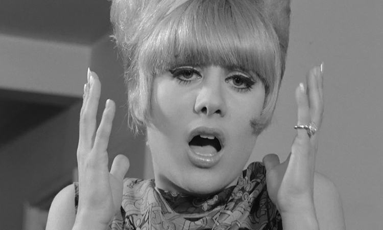 MovingImageNYC's tweet image. Nobody made movies like Doris Wishman. This Sat, 7/19, see two disreputable classics from one of the most prolific women filmmakers in the history of America cinema, exploitation or otherwise: INDECENT DESIRES + ANOTHER DAY, ANOTHER MAN! movingimage.org/event/doris-wi…
