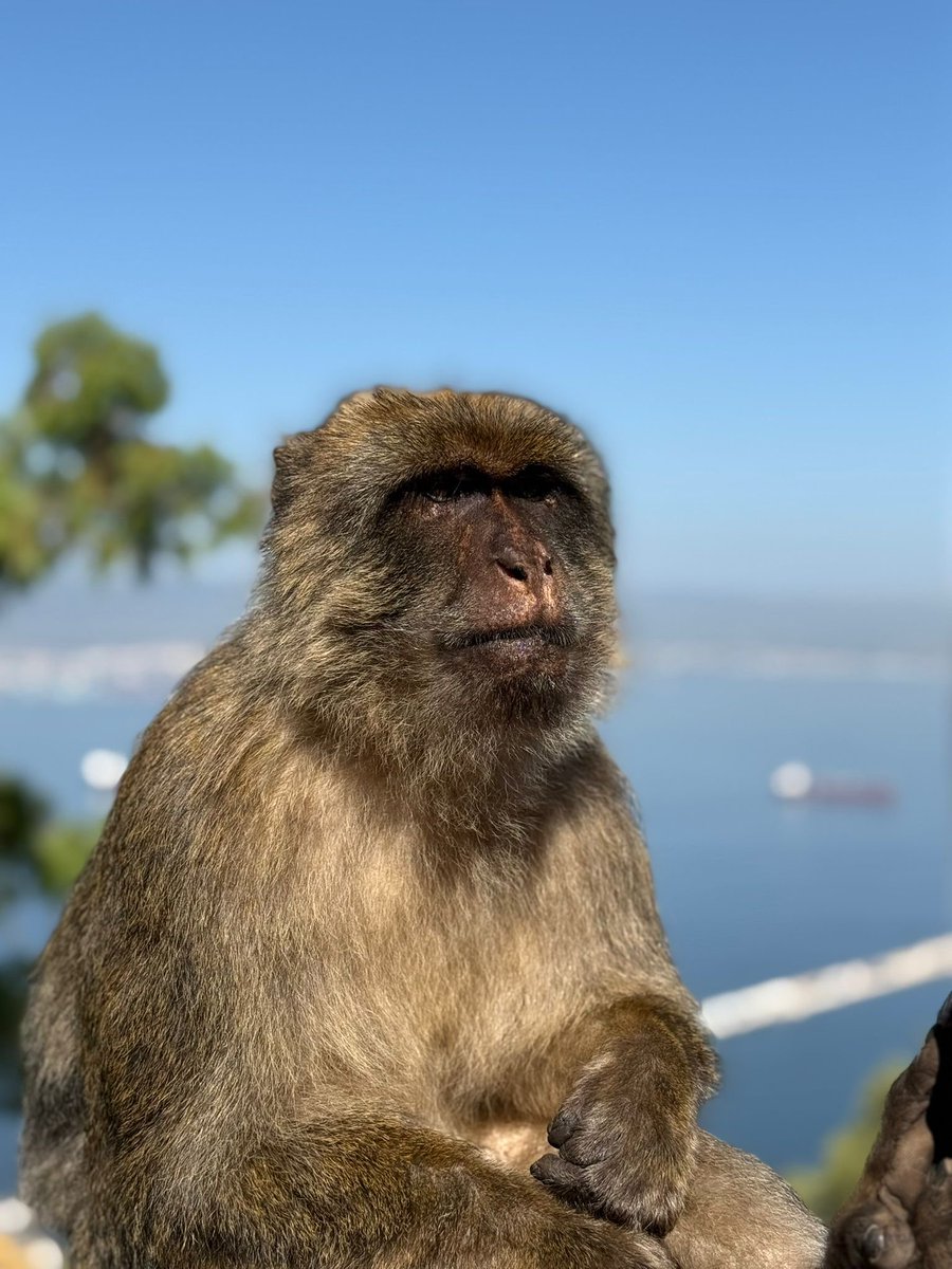 Marco De La Fuente tweet media