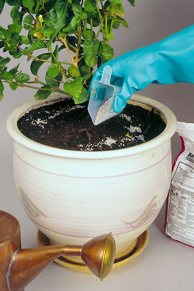 gardensbyyou's tweet image. Container Garden Emergency: When your container plant's food supply runs out, the plant's roots have nowhere to go to get the food they need. The time has come—You must feed your plant. You have confusing choices: Pick from solid, liquid, or water-soluble fertilizers, from…