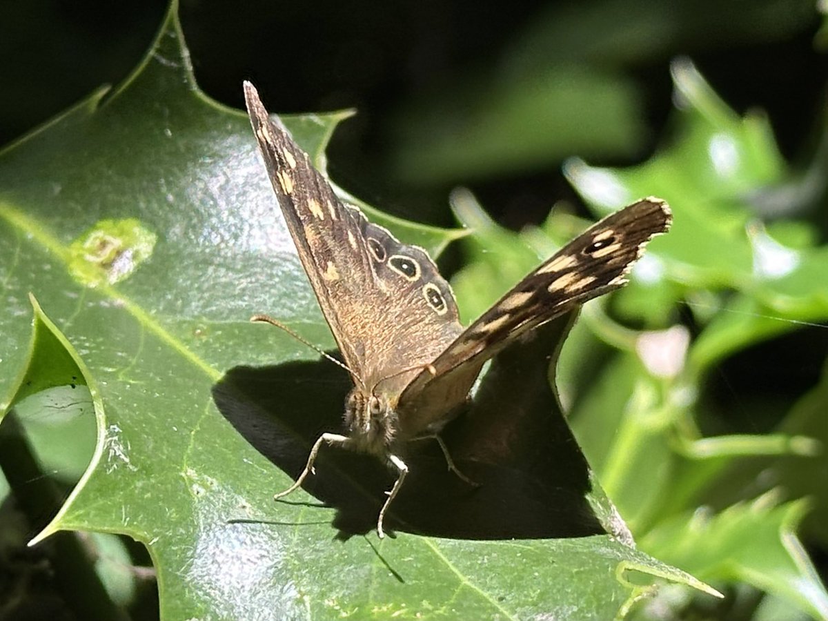 Jay Up North tweet media